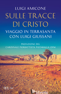 SULLE TRACCE DI CRISTO. VIAGGIO IN TERRASANTA CON LUIGI GIUSSANI. NUOVA EDIZ. -AMICONE LUIGI