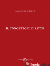 CONCETTO DI DIRITTO (IL) - CATELANI ALESSANDRO