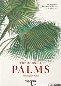 MARTIUS. THE BOOK OF PALMS. 40TH ED.. EDIZ. MULTILINGUE - LACK H. WALTER; MARTIUS CARL FRIEDRICH PHILIPP