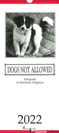 DOGS NOT ALLOWED. CALENDARIO 2022 - 