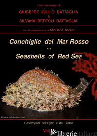 CONCHIGLIE DEL MAR ROSSO-RED SEA'S SEASHELLES. EDIZ. BILINGUE - BATTAGLIA GIUSEPPE GIULIO; BERTOLI BATTAGLIA SILVANA