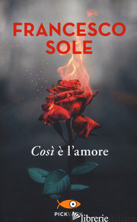 COSI' E' L'AMORE - SOLE FRANCESCO