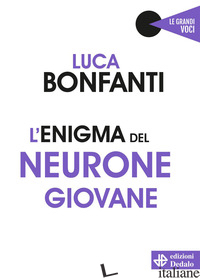 ENIGMA DEL NEURONE GIOVANE (L') - BONFANTI LUCA