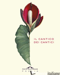 CANTICO DEI CANTICI. TESTO EBRAICO A FRONTE (IL) - CAPELLI P. (CUR.)