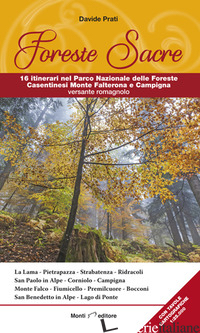 FORESTE SACRE. 16 ITINERARI NEL PARCO NAZIONALE DELLE FORESTE CASENTINESI MONTE  - PRATI DAVIDE