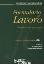 FORMULARIO DEL LAVORO. CONTRATTI, SICUREZZA E PRIVACY. CON CD-ROM - RUSSO C. (CUR.); CARBONE L. (CUR.)