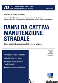 DANNI DA CATTIVA MANUTENZIONE STRADALE - DE GIORGI M. (CUR.)