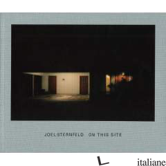 JOEL STERNFELD ON THIS SITE - JOEL STERNFELD
