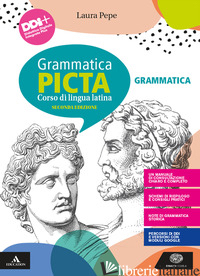 GRAMMATICA PICTA. GRAMMATICA. PER I LICEI E GLI IST. MAGISTRALI. CON E-BOOK. CON - PEPE LAURA; VILARDO MASSIMO