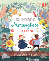 SEI UN VIAGGIO MERAVIGLIOSO. EDIZ. A COLORI