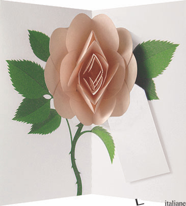 SIMPLY A ROSE: PEACH