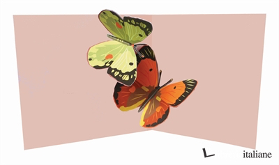 TWO BUTTERFLY 