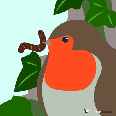 COUNTRYSIDE: ROBIN