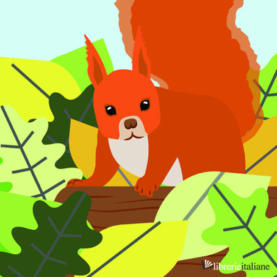 COUNTRYSIDE: SQUIRREL