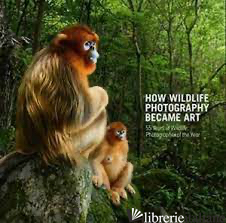 How Wildlife Photography Became Art