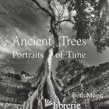 Ancient Trees