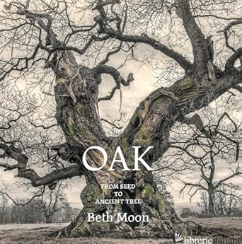 Oak, From Seed to Ancient Tree