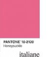 PANTONE FLEXI JOURNAL 2