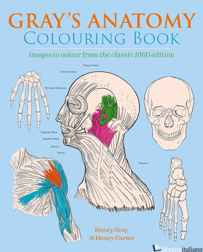 The Gray's Anatomy Colouring Book 