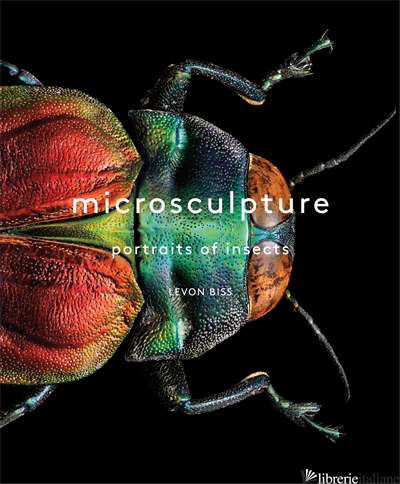 Microsculpture