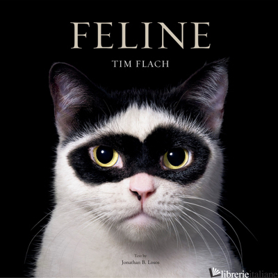 Feline