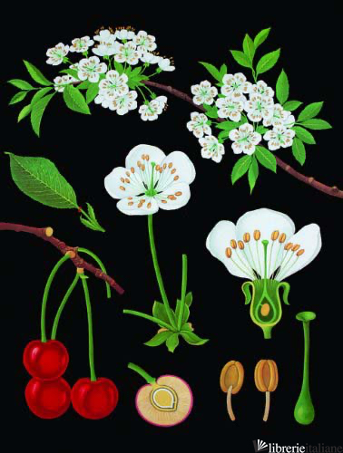 ESAURITO --- Art of Instruction Journal, The