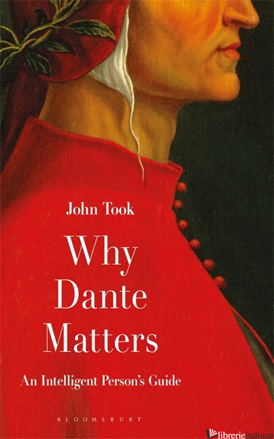 Why Dante Matters: An Intelligent Persons Guide