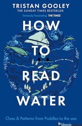 How To Read Water Clues & Patterns from Puddles to the Sea