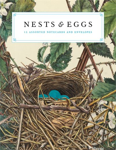 NESTS AND EGGS NOTECARDS