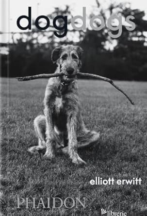 Elliot Erwitt - DogDogs