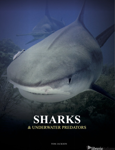 Sharks and Underwater Predators