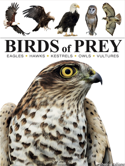 Mini Encyclopedia: Birds of Prey