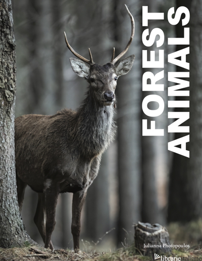 Forest Animals