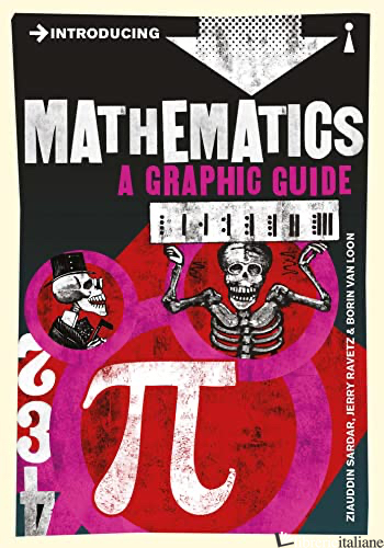 Introducing Mathematics: A Graphic Guide