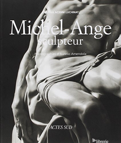 Michel-Ange sculpteur