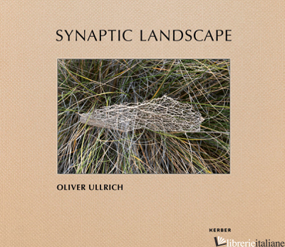 Synaptic Landscape: Oliver Ullrich