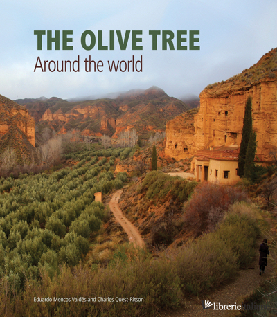 The Olive Tree