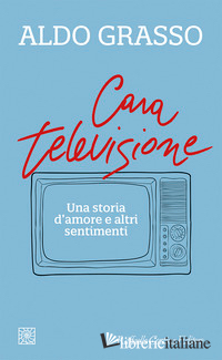 CARA TELEVISIONE. UNA STORIA D'AMORE E ALTRI SENTIMENTI