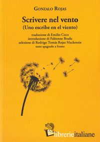 SCRIVERE NEL VENTO