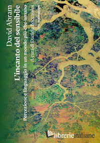 INCANTO DEL SENSIBILE. PERCEZIONE E LINGUAGGIO IN UN MONDO PIU-CHE-UMANO (L')