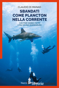 SBANDATI COME PLANCTON NELLA CORRENTE. CHE FINE HANNO FATTO I «FIGLI DI UNA SHAM
