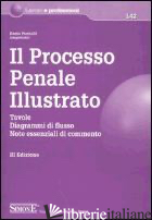 PROCESSO PENALE ILLUSTRATO. TAVOLE, DIAGRAMMI DI FLUSSO, NOTE ESSENZIALI DI COMM