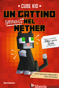 GATTINO SMARRITO NEL NETHER (UN)