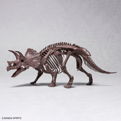 IMAGINARY SKELETON TRICERATOPS 1/32 di 