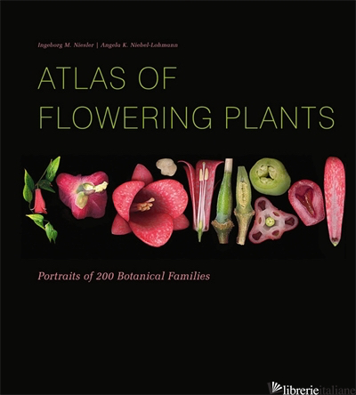 Atlas of Flowering Plants - NIESLER I.