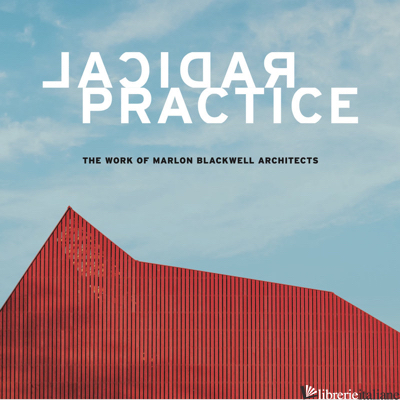 Radical Practice - Peter MacKeith and Jonathan Boelkins