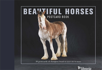 BEAUTIFUL HORSES POSTCARD BOOK - 