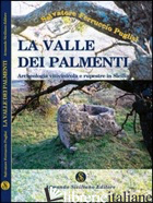 VALLE DEI PALMENTI. ARCHEOLOGIA VITINICOLA E RUPESTRE IN SICILIA (LA) - PUGLISI SALVATORE
