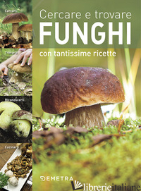 CERCARE E TROVARE FUNGHI. CERCARLI, TROVARLI, RICONOSCERLI, CUCINARLI - AA VV
