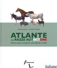 ATLANTE DELLE RAZZE AUTOCTONE. BOVINI, EQUINI, OVICAPRINI, SUINI ALLEVATI IN ITA - BIGI DANIELE; ZANON ALESSIO
